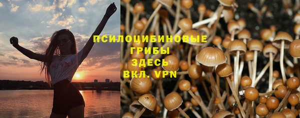прущие крисы Алзамай