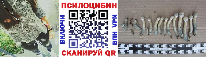 Галлюциногенные грибы GOLDEN TEACHER  дарнет шоп  Игра 