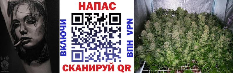 МАРИХУАНА Ganja  kraken ссылки  Игра 